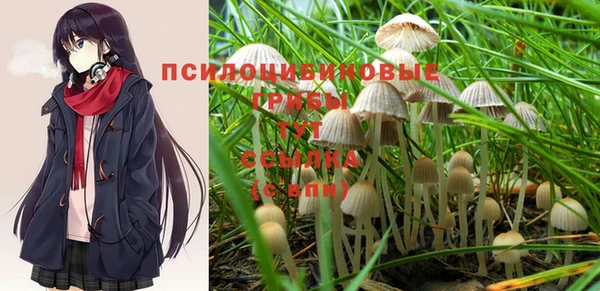 PSILOCYBIN Дмитриев