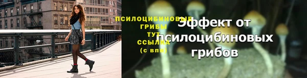 ешки Михайловск