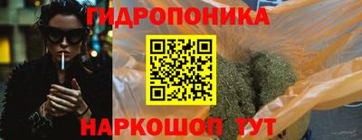 шишки Канаш