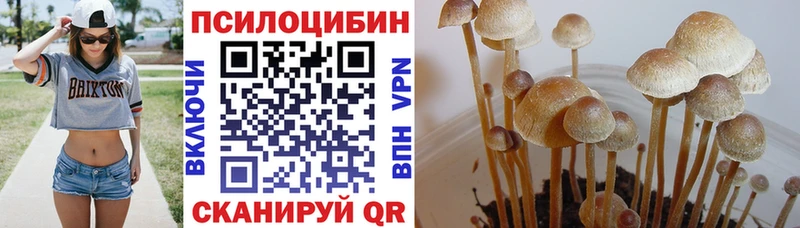 Псилоцибиновые грибы мухоморы  Моздок 