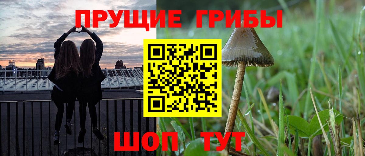 Каннабис Моздок